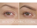 Eyebrow Grooming Tutorial In 6 Steps Shonagh Scott ShowMe MakeUp