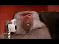 Calling GIF