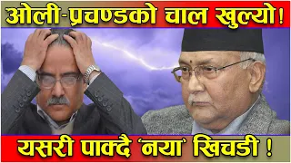 गोप्य रणनीतिमा ओली–प्रचण्ड ! स्थानीय निर्वाचनमै तहल्का ! एमाले–नेकपा लपक्कै ! यसरी पाक्दै खिचडी !