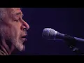 Lulu Santos - Um Certo Alguém (Ao Vivo)