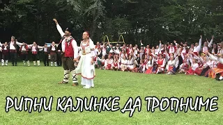 РИПНИ КАЛИНКЕ ДА ТРОПНИМЕ РОДОПСКА НАРОДНА ПЕСЕН ИНСТРУМЕНТАЛ НА КАБА ГАЙДА 