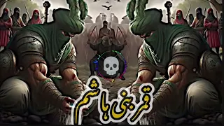 اچمل ساقی عباس عجید العامری 2025 Qamr Bani Hashim قمر بنی ہاشم 