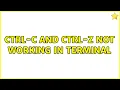 Ctrl-C and Ctrl-Z not working in terminal 4 Solutions