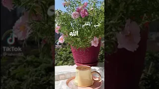 طرب الزمن الجميل  أول ما كتب القلم كتب الله  دندنها