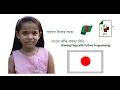 Drawing the flag of Japan with Python Programming - TalhaTraining