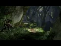 Halo 3 In-Game Soundtrack - Wildlife (Percussion)