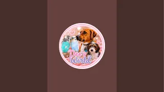 Dee’s World  is live! Snuggles and Tucky outside!