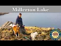 Beauty of Millerton Lake State Recreation Area Ultimate Guide