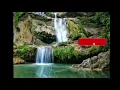 Download Lagu Masteran kapas tembak, Terapi suara aliran air dan suara burung kapas tembak