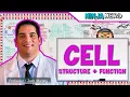 Download Lagu Cell Biology | Cell Structure \u0026 Function