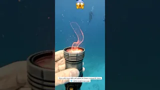 مخلوق شفاف هلامي سبحان الخالق 