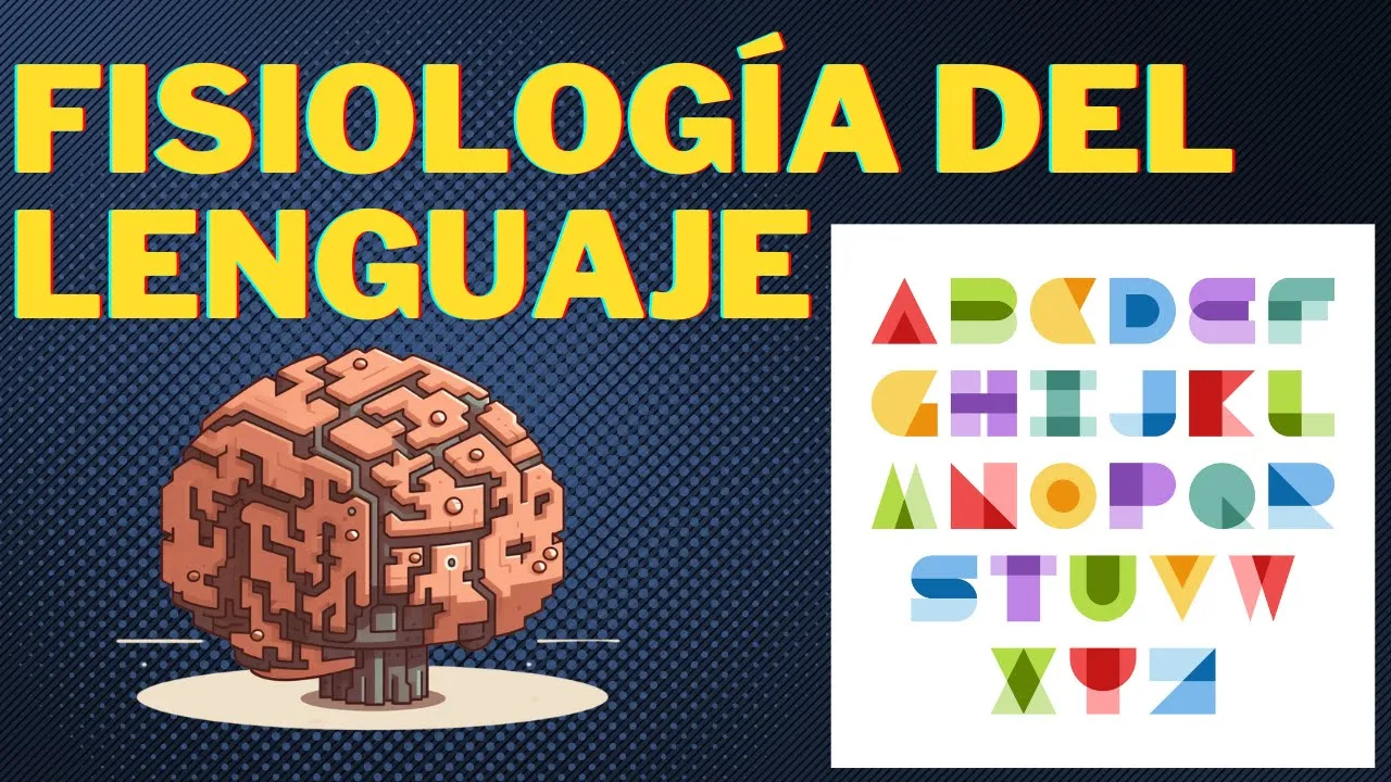 Neuroanatomía y fisiología del lenguaje