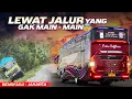 Lagu SKILL DRIVER DIATAS RATA-RATA YANG BERANI LEWAT SINI⁉️Trip Bengkulu - Jakarta with Putra Rafflesia