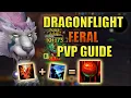 FERAL DRUID PVP GUIDE FOR DRAGONFLIGHT 10 0 RBG ARENA BATTLEGROUNDS ABSOLUTELY BUSTED