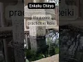 Download Lagu Daily Reiki Inspiration | Learn Reiki | Usui Reiki Ryoho