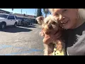 TRUDY S FREEDOM