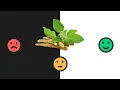 Should You Take Ashwagandha What the Science Actually Says