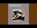 Download Lagu Selendang Biru (Acoustic)