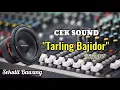 INSTRUMEN TARLING BAJIDOR COCOK UNTUK CEK SOUND \u0026 KARAOKE