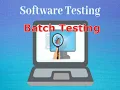 Introduction to Batch Testing G C Reddy