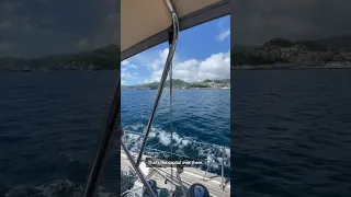 Sailing Grenada #shorts