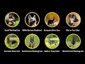 Every German Shepherd Type Explained in 5 Minutes