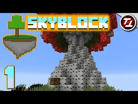Minecraft server video for MineSaga