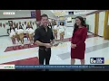 Eldorado High School in Las Vegas unveils 350K library transformation