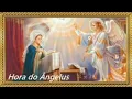 Download Lagu HORA DO ÂNGELUS 🙏🏻Rezar 6Hs 12Hs 18Hs.