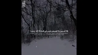 اذا اردت ان يحبك الله كمال المحبه الشيخ محمد الشنقيطي  اذا اردت ان يحبك الله كمال المحبه الشيخ محمد الشنقيطي