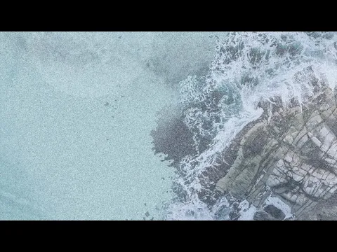 Blurstem | Moons Lost | Modern Classical Music