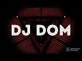 Download Lagu Palanathu Kuruvi Remix Ft DJ Dom