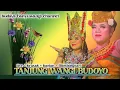Lagu BRAWIJOYO KEMBAR || JANGER TANJUNG WANGI BUDOYO || LIVE KRASAK - BLIMBINGSARI || PARADIS AUDIO
