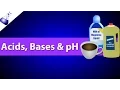 Acids Bases and pH
