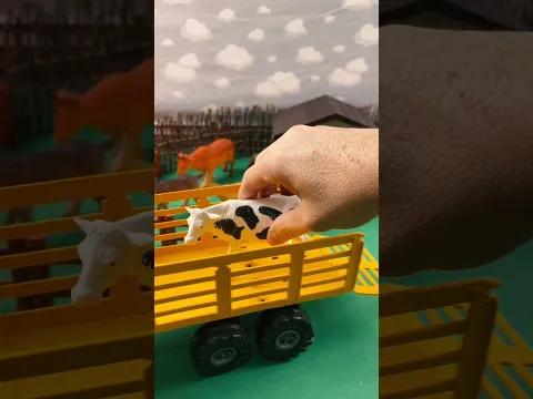 ANIMALS ARRIVING AT THE FARM / ANIMAIS CHEGANDO NA FAZENDA