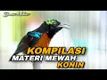 Lagu KOMPILASI TEMBAKAN KONIN MEWAH FULL ISIAN NEMBAK CIBLEK BREN COCOK BUAT MASTERAN KOLIBRI NINJA BAHAN