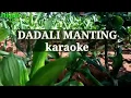 Download Lagu Dadali manting karaoke