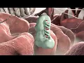 Download Lagu Gene Silencing by Micro RNA - Studio Katharina Petsche
