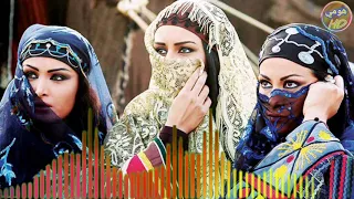 احمد انضباط      دندنها