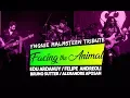 Lagu Facing the Animal - Yngwie Malmsteen Tribute