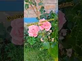 Download Lagu Maulaya Sholli Wasallim Daiman Abada | Heart-Touching Naat🌹| Peaceful Islamic Reel #NatureVibes #yt