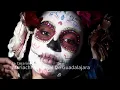 Mariachi Nacional De Guadalajara - La Cucaracha (Visualizer)