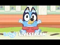 Download Lagu 🔴LIVE: BLUEY FULL EPISODES LIVESTREAM