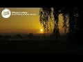 Brad Paisley - Whiskey Lullaby (Lyrics) feat. Alison Krauss