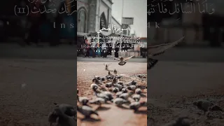 منه رمضان الله سورة الضحى حالات واتس اب Shorts Quran 