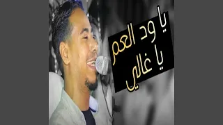 ود العم ياغالى Live 