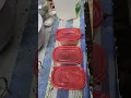 Red Mouth Bolete dye experiments step 1