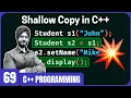 Shallow Copy in C