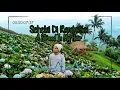 Download Lagu Tuhan Selalu Menolongku Reffrein (Ringtone) | Putri Ayu
