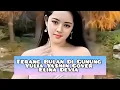 Download Lagu Pop Mandarin Yulia Yasmin Cover Elina Devia Terang Bulan Di Gunung Full HD 60fps MP4